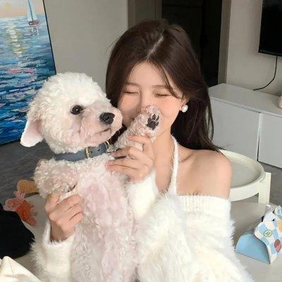 夜行神龙电影版